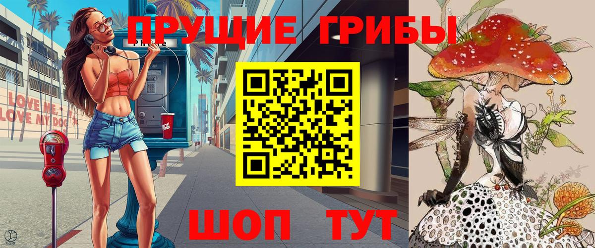 Галлюциногенные грибы Psilocybe Нефтекумск