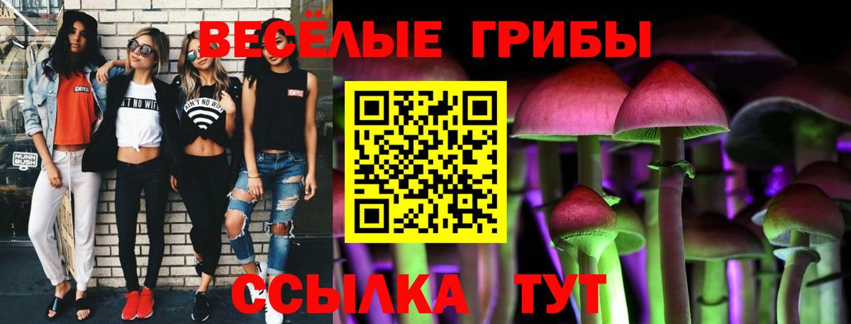 Псилоцибиновые грибы прущие грибы  Вход с VPN  Нефтекумск 